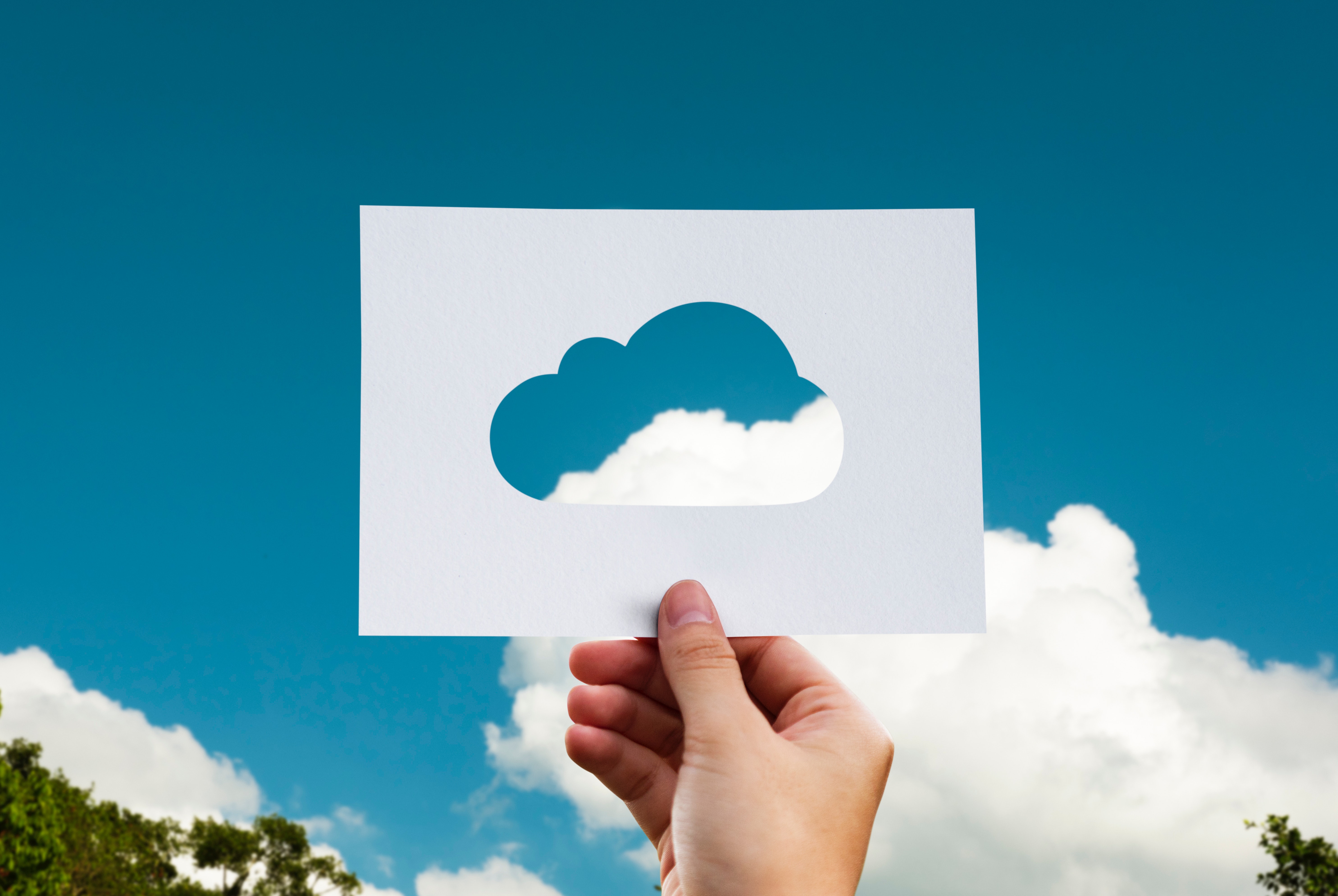 Cloud Erp Software Advantages For Small Businesses